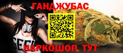 молекула духа Будённовск