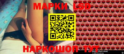 молекула духа Будённовск