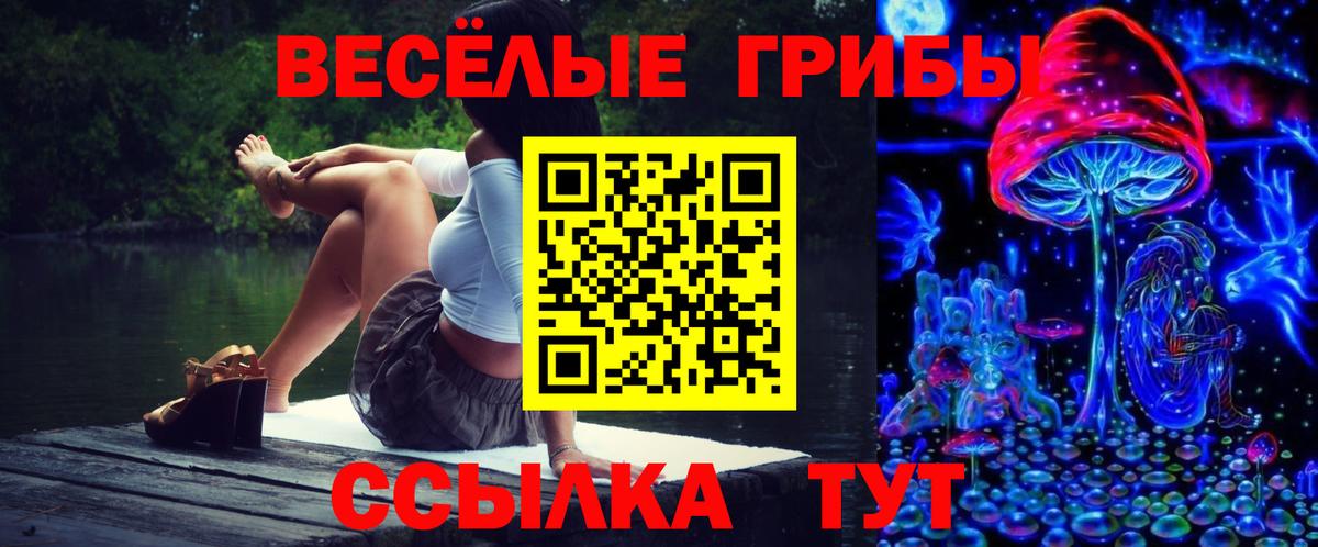 Псилоцибиновые грибы MAGIC MUSHROOMS Отрадный